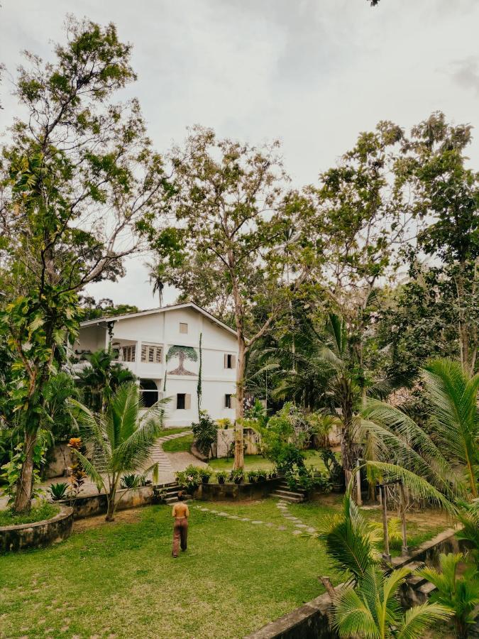 Kirinuga Boutique Retreat Hotel Tangalle Exterior foto
