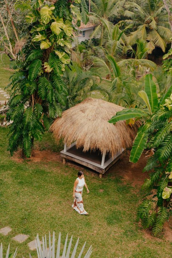 Kirinuga Boutique Retreat Hotel Tangalle Exterior foto